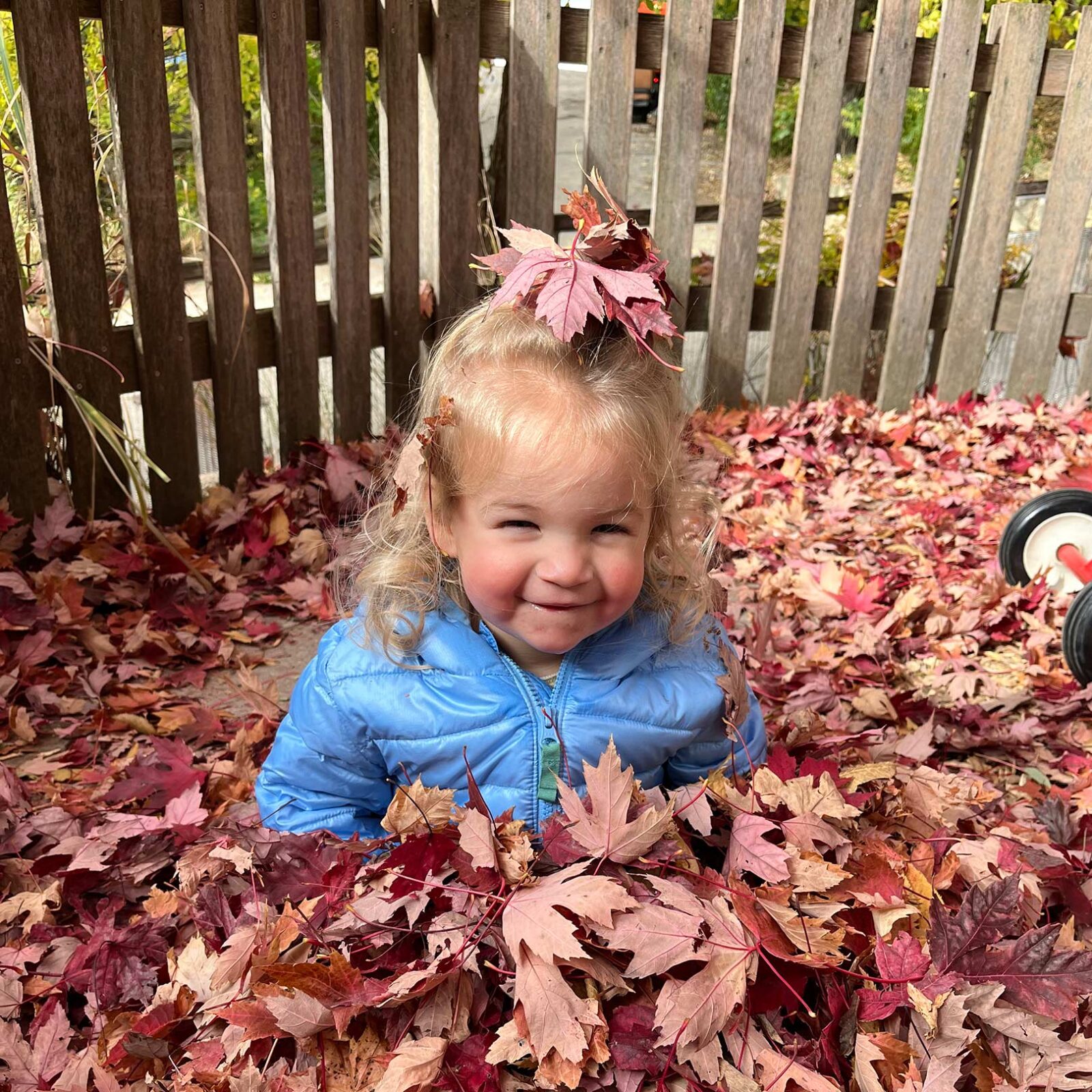 Child smiling in a pile of red leaves.