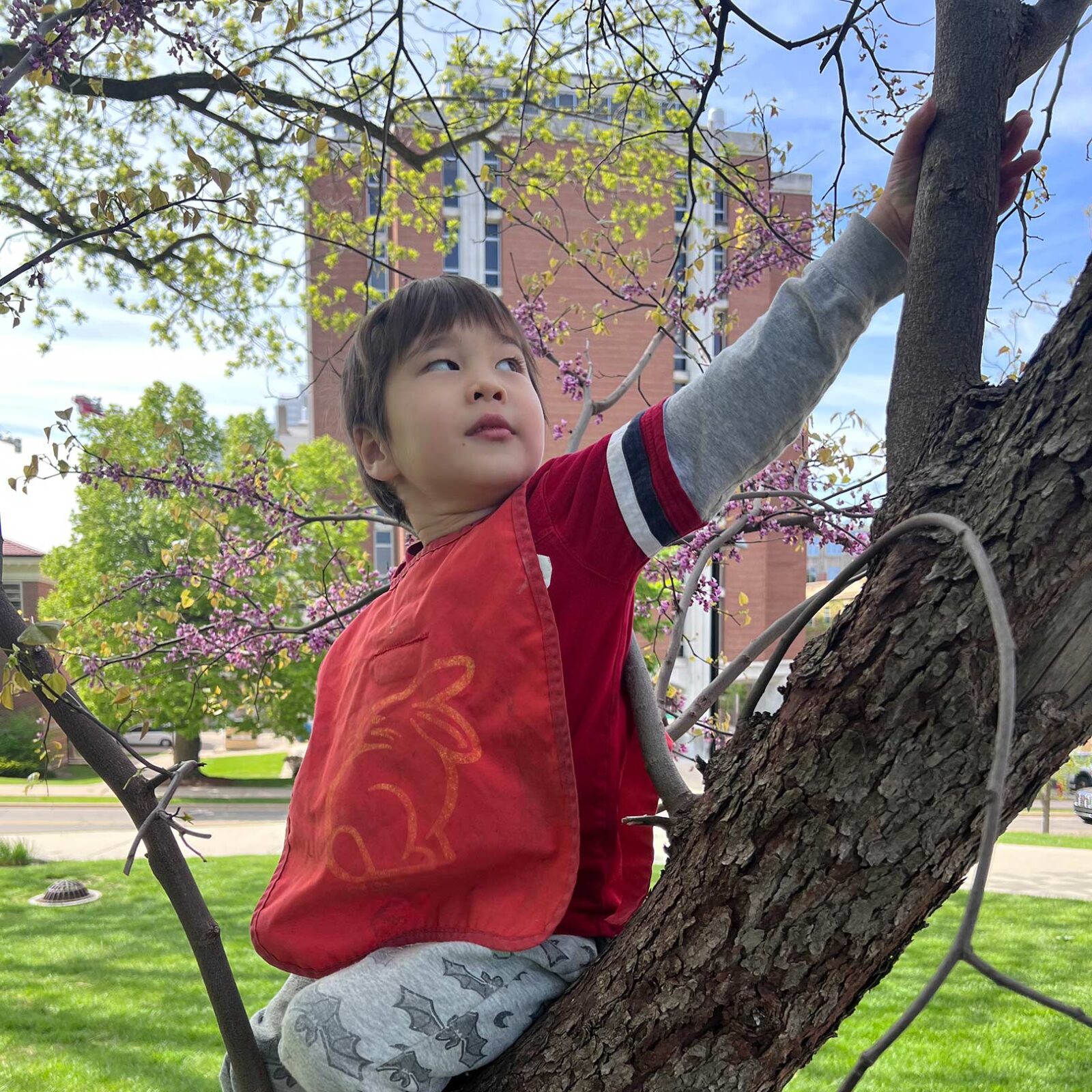 Child climbing a tree.