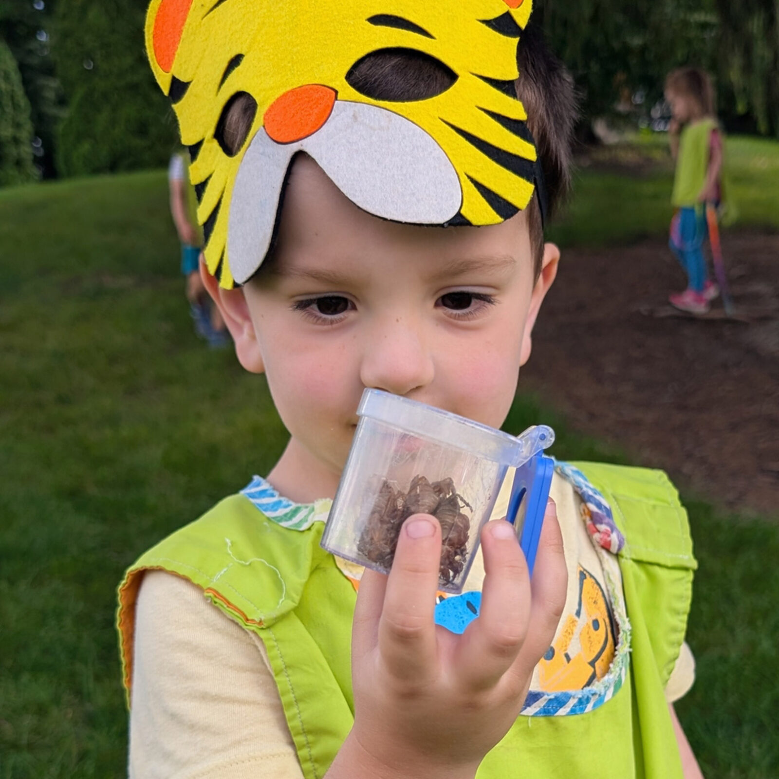 Child looks at a container of bugs.